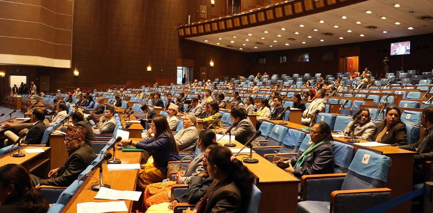 आमाकै नाममा नागरिकता दिने व्यवस्था गर्न माग