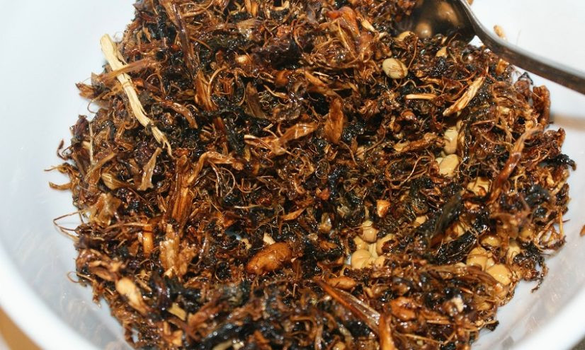 रोङमा व्यावसायिक गुन्द्रुक उत्पादन