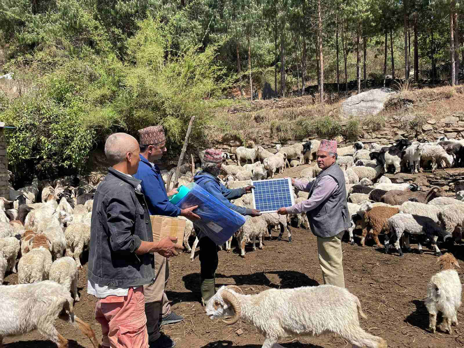 भेडा गोठमा सोलार वितरण