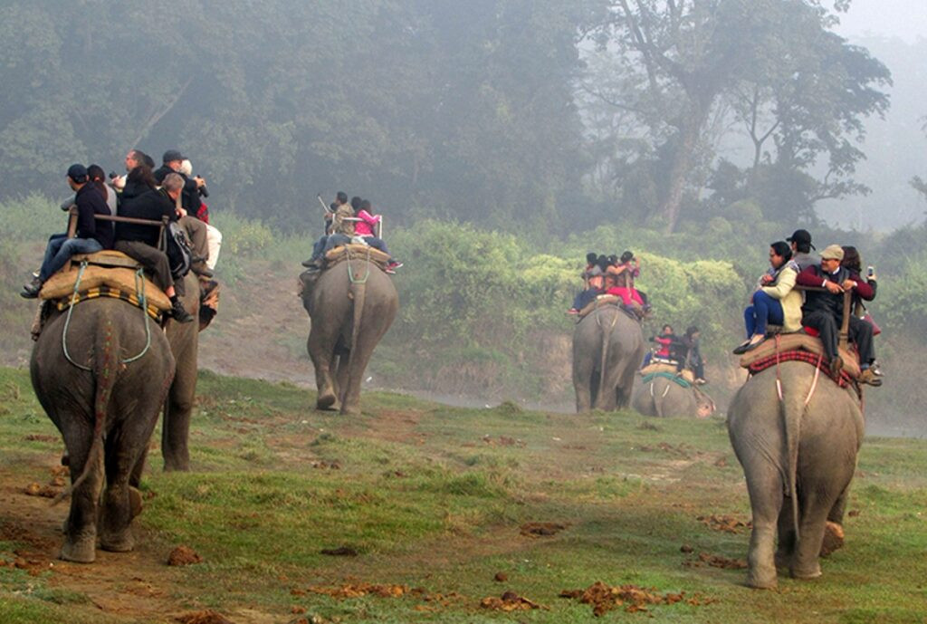 चितवन राष्ट्रिय निकुञ्जः हालसम्मकै धेरै पर्यटक भित्रिए