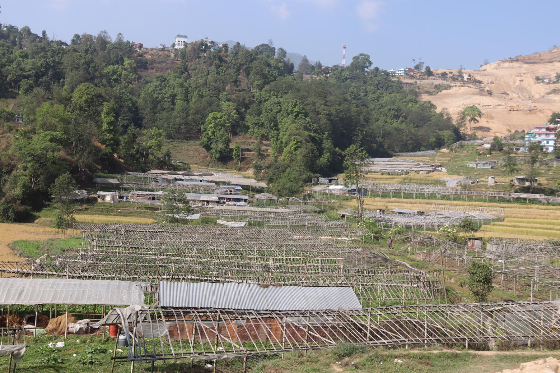 तरकारी खेतीका टनेलहरु