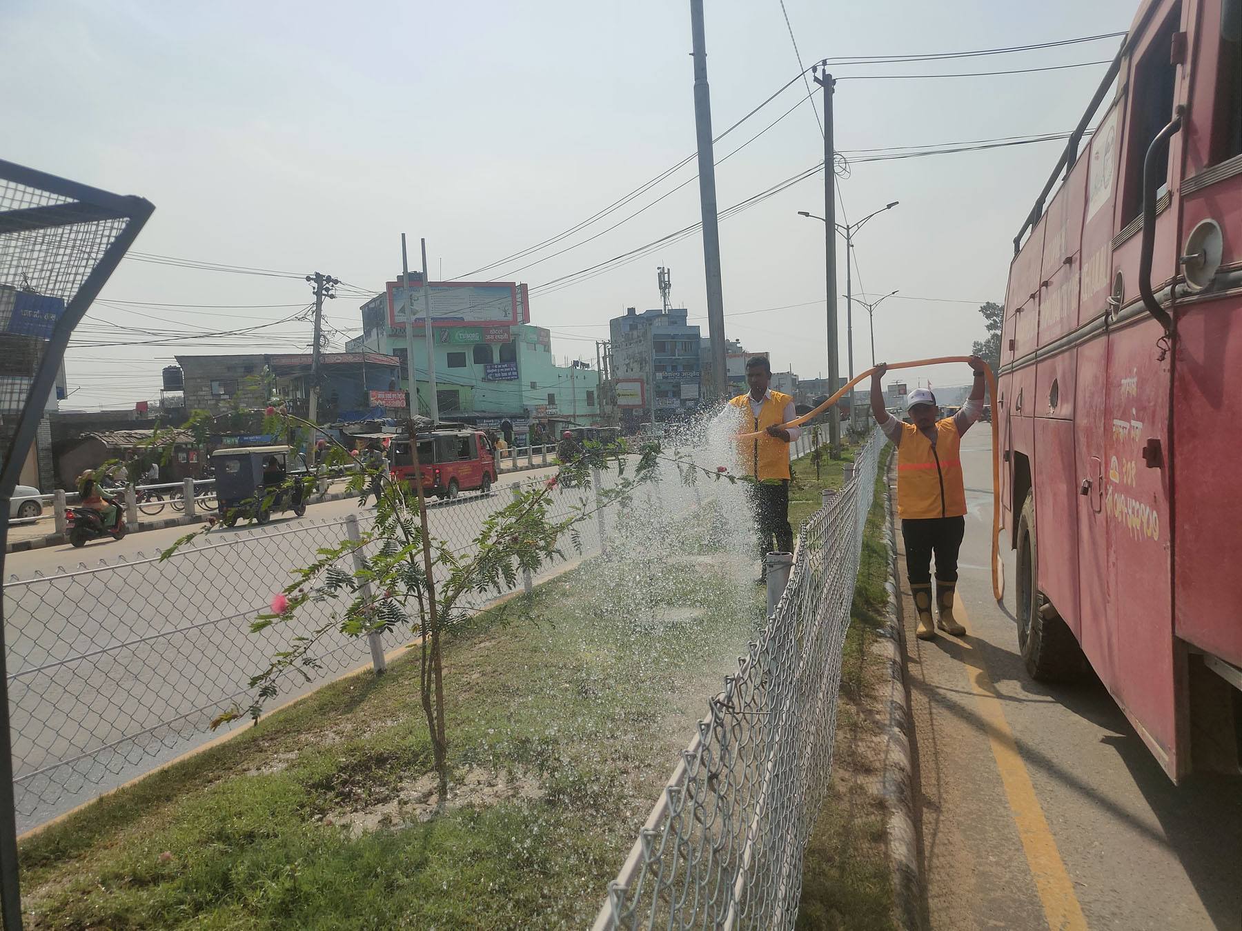 बिरुवामा सिँचाइ गरिँदै