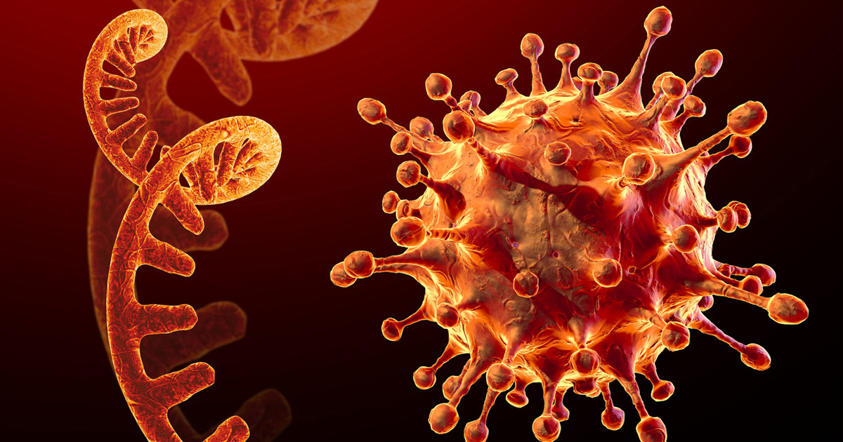 कोरोना जोखिम बढेपछि भारतबाट फर्किने निगरानीमा, सीमामा कडाइ