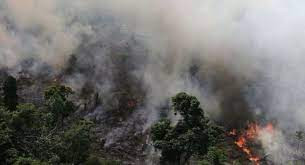 जहाँ बस्ती छ त्यहीँबाट डढेलो