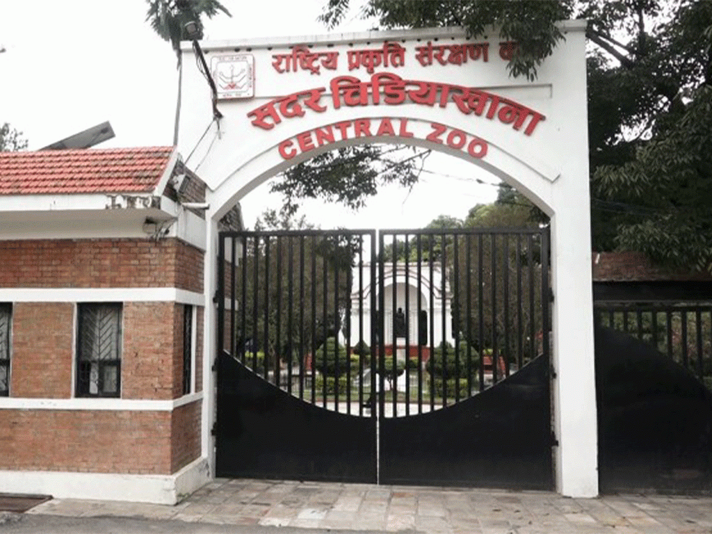 सदर चिडियाखानाको आम्दानी बढ्यो