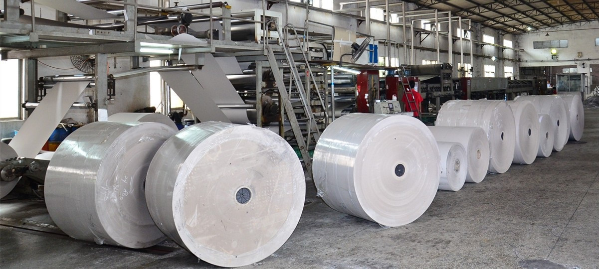 लोक्ता पाउन छाडेपछि कागज उद्योग सङ्कटमा