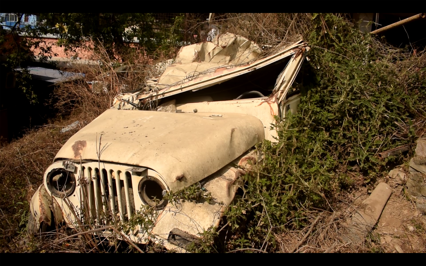 बिग्रिएर अलपत्र एम्बुलेन्स