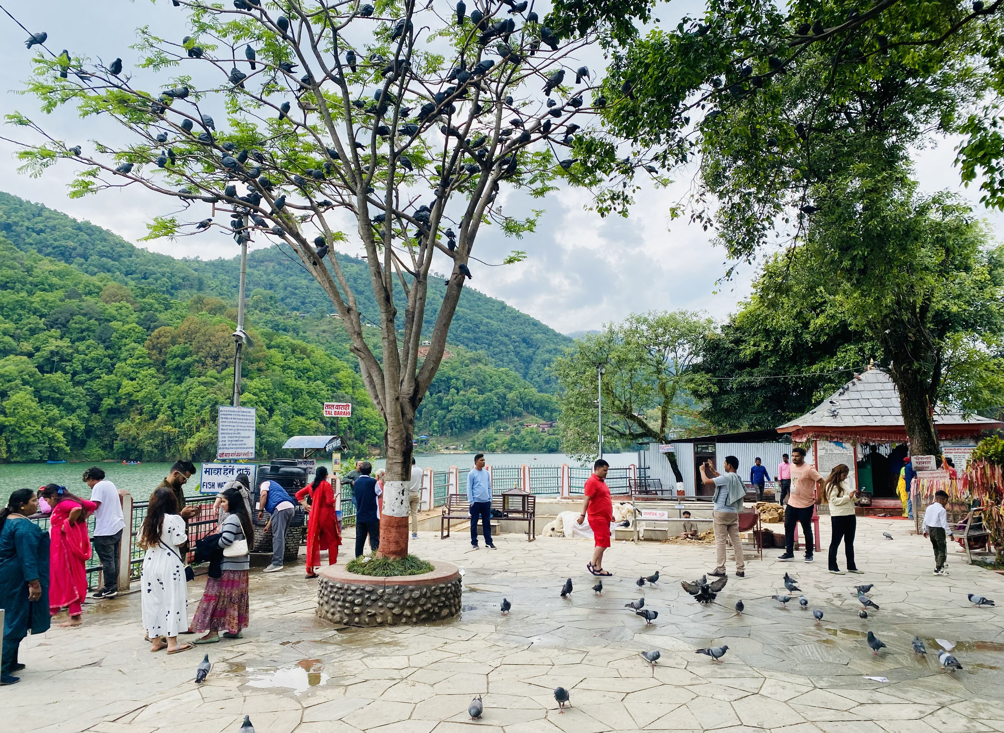 धार्मिक पर्यटन