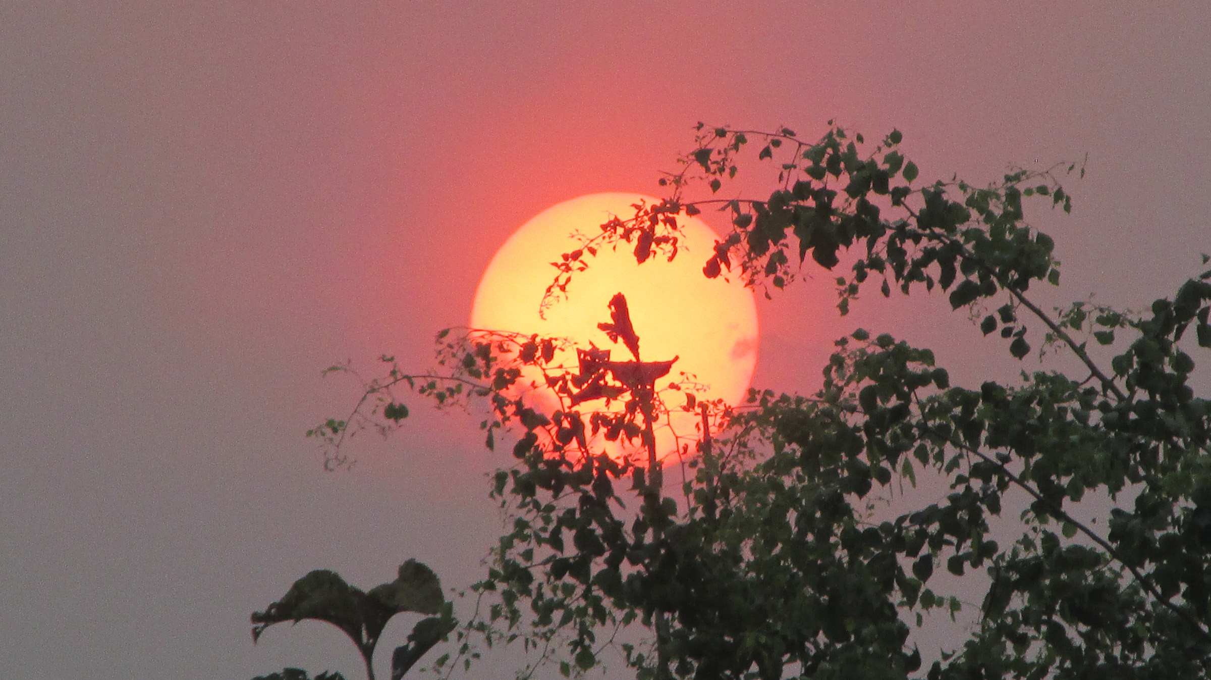 शुक्लाफाँटा राष्ट्रिय निकुञ्जको अर्जुनीफाँटबाट देखिएको सूर्यास्त