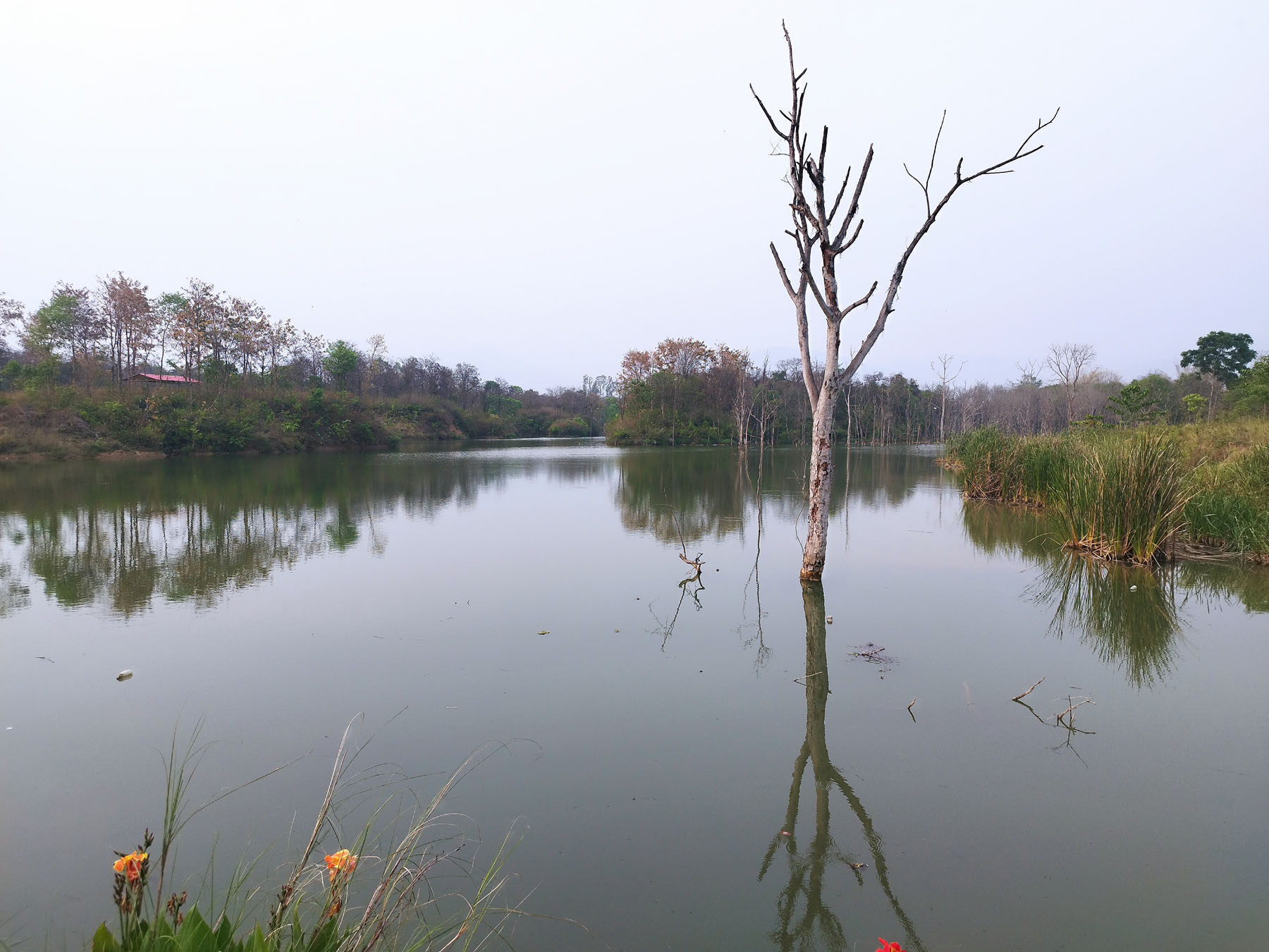 कृतिम जलाशय