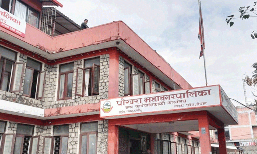 किसानको वर्गीकरण गर्दै पोखरा महानगर