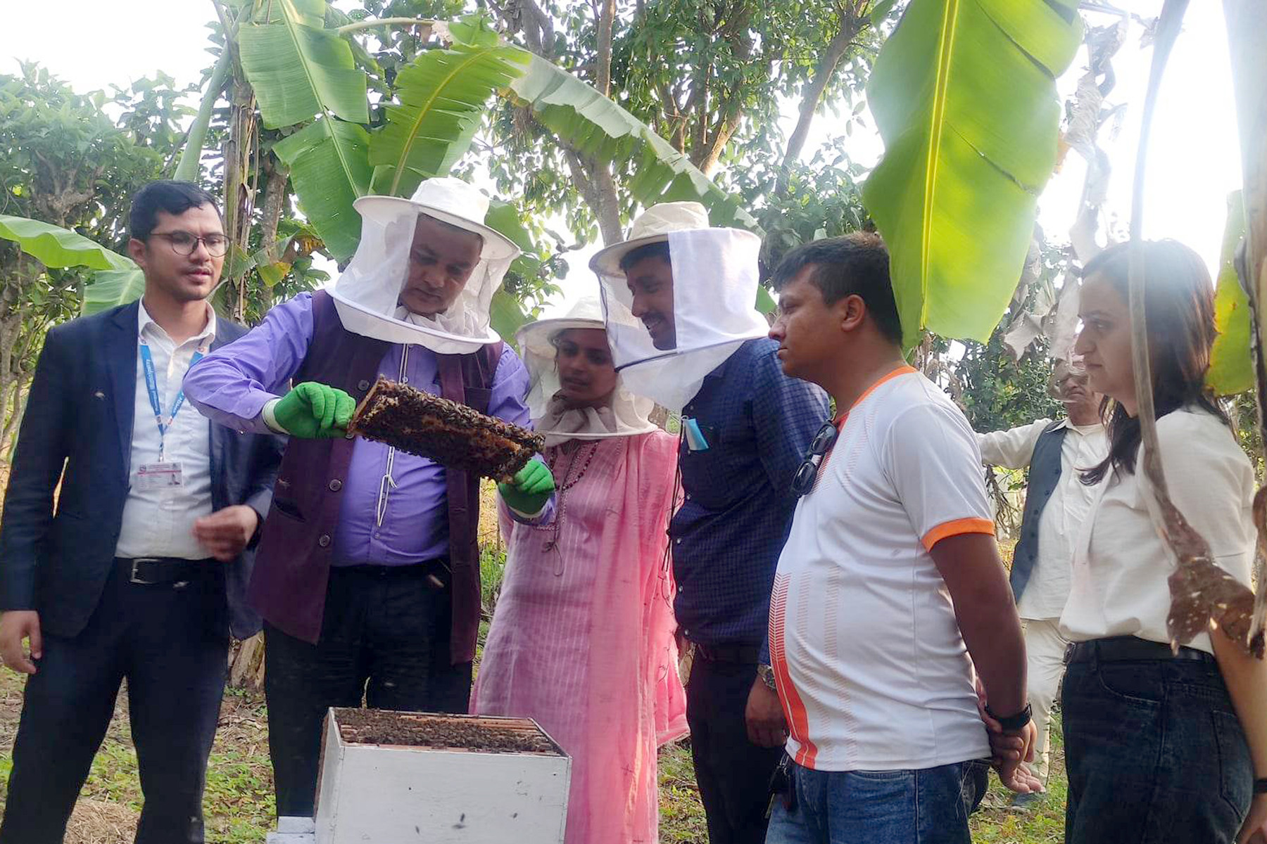 कृषकलाई मौरीपालनबारे जानकारी