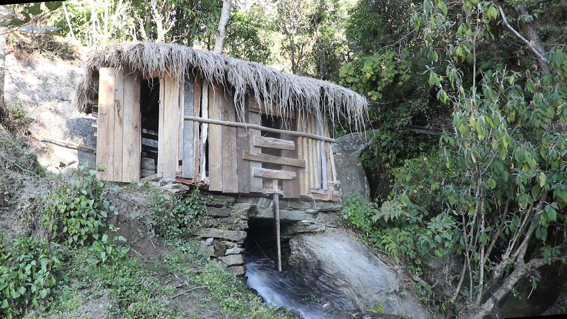 घट्टकै भरमा चल्दछ दैनिकी