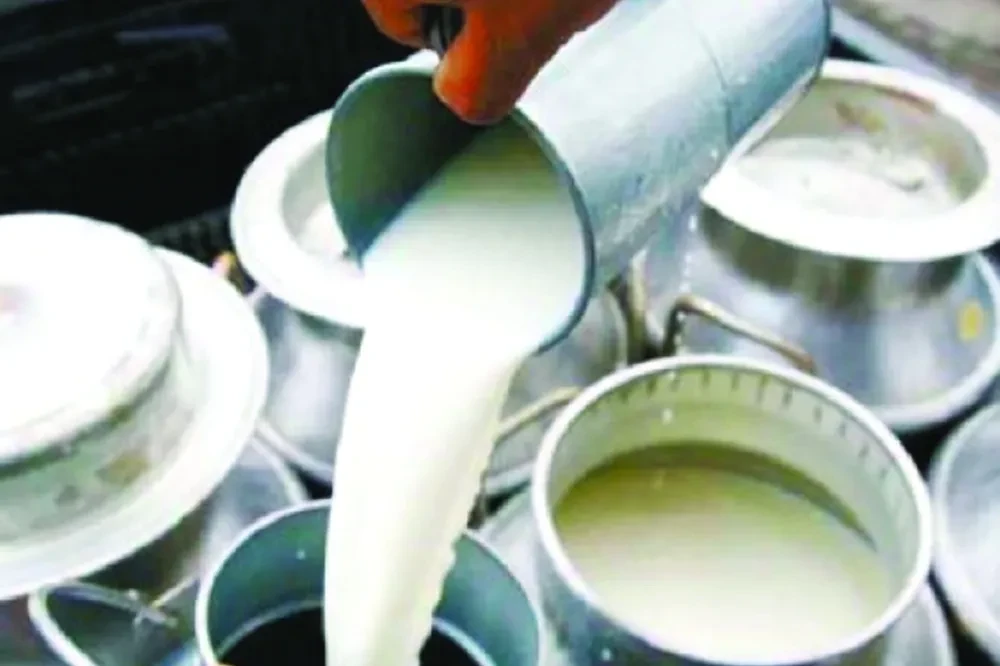 दूधको परिकार बिक्री गर्दै सहकारी