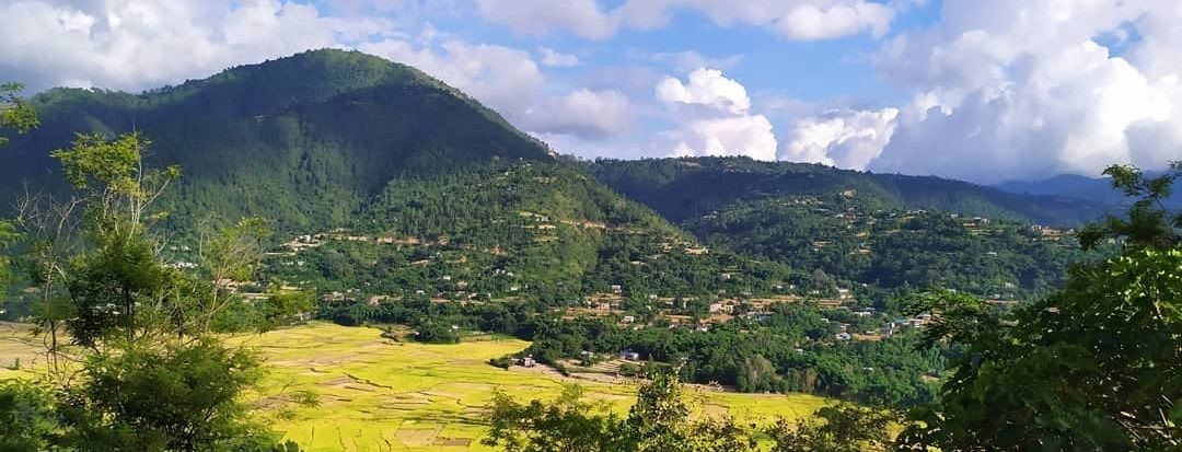 घरेलु उद्यम प्रवर्द्धन गर्दै स्थानीय तह