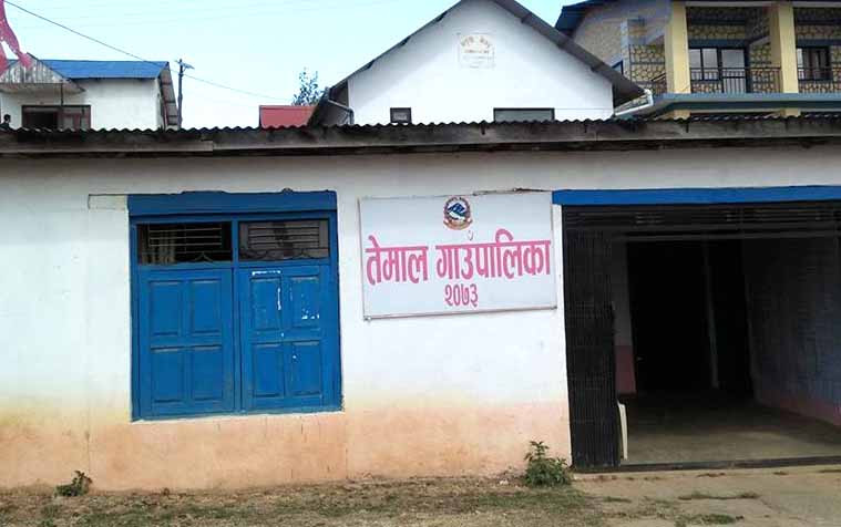 रैथाने बाली संरक्षणमा तेमाल गाउँपालिका