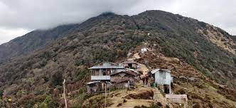 धातुजन्य किला ठोक्दा पाथीभरा क्षेत्रका बोटबिरुवा नासिँदै