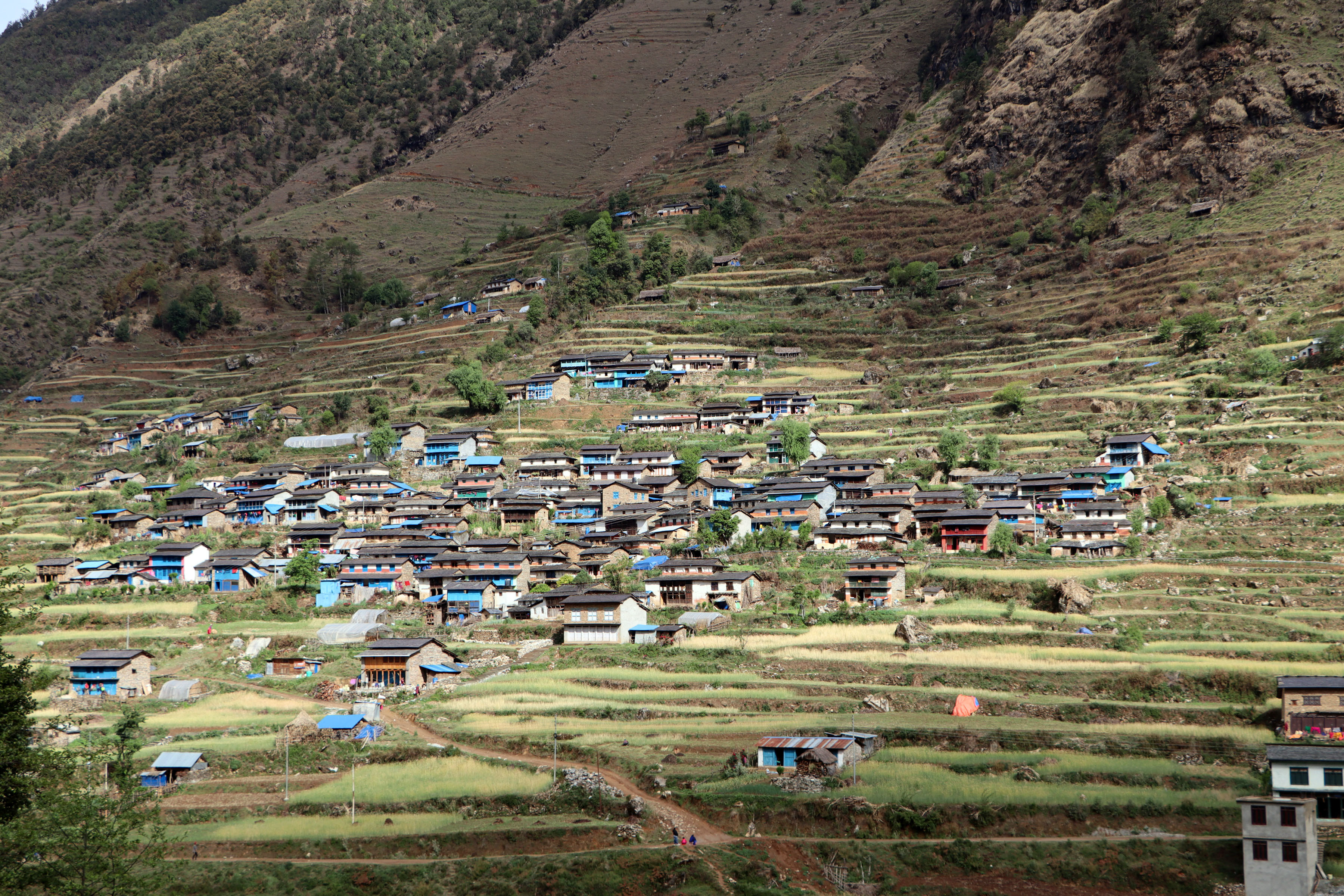 तमान गाउँ