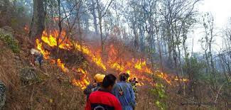 डढेलो नियन्त्रणका लागि सप्ताहव्यापी कार्यक्रम