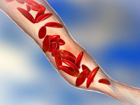 नेपालका १५ जिल्लामा ‘सिकलसेल एनिमिया’ रोगको समस्या