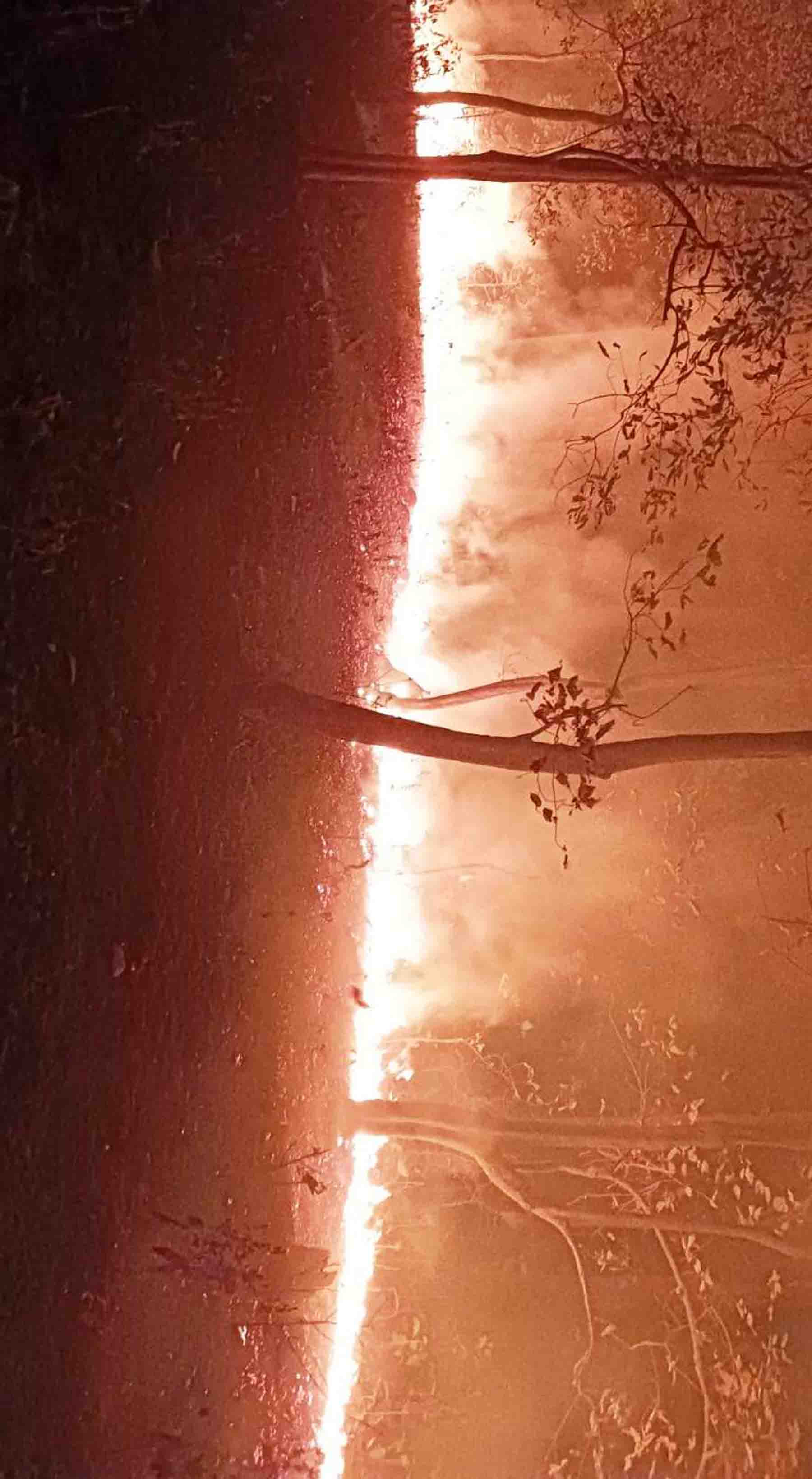 वायु प्रदूषणको प्रमुख कारक वन डढेलो