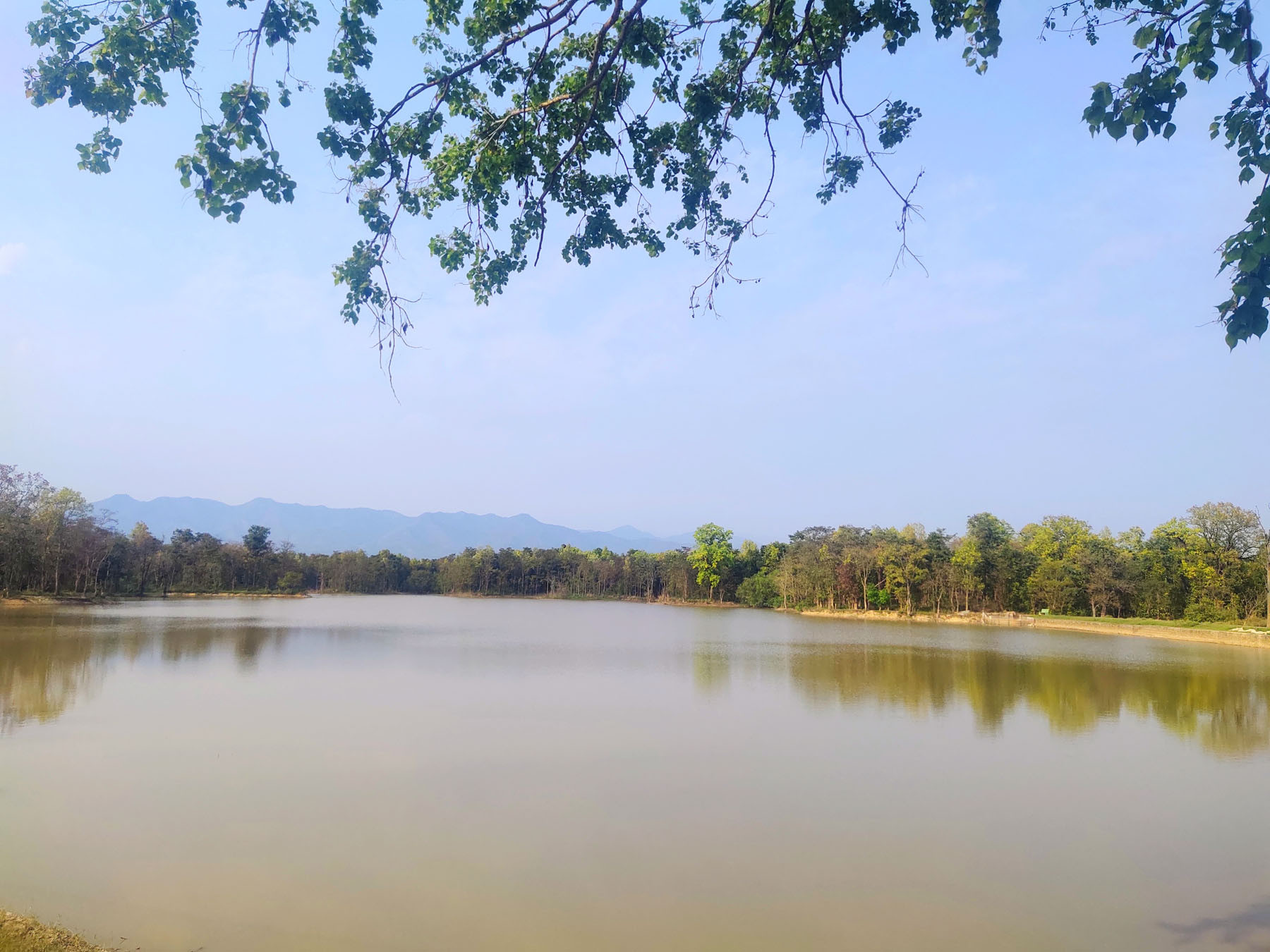 विर्जा ताल