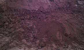 ढिस्कोले पुरिएर चारको मृत्यु