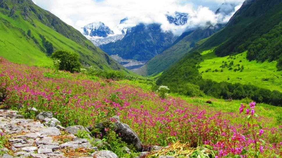 शहीदको सम्मानमा उद्यान निर्माण गरिँदै