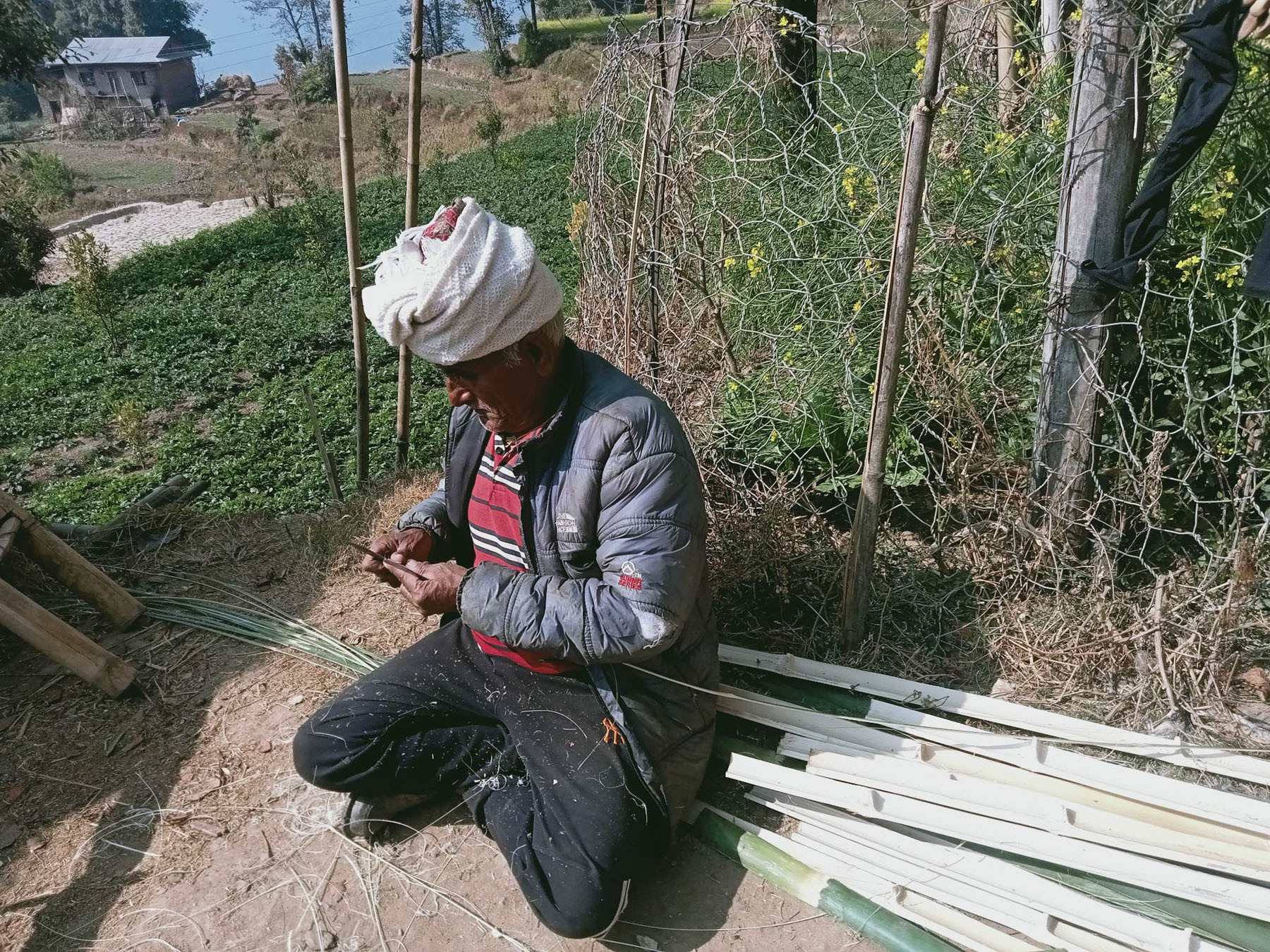 चोया काढ्दै वृद्ध