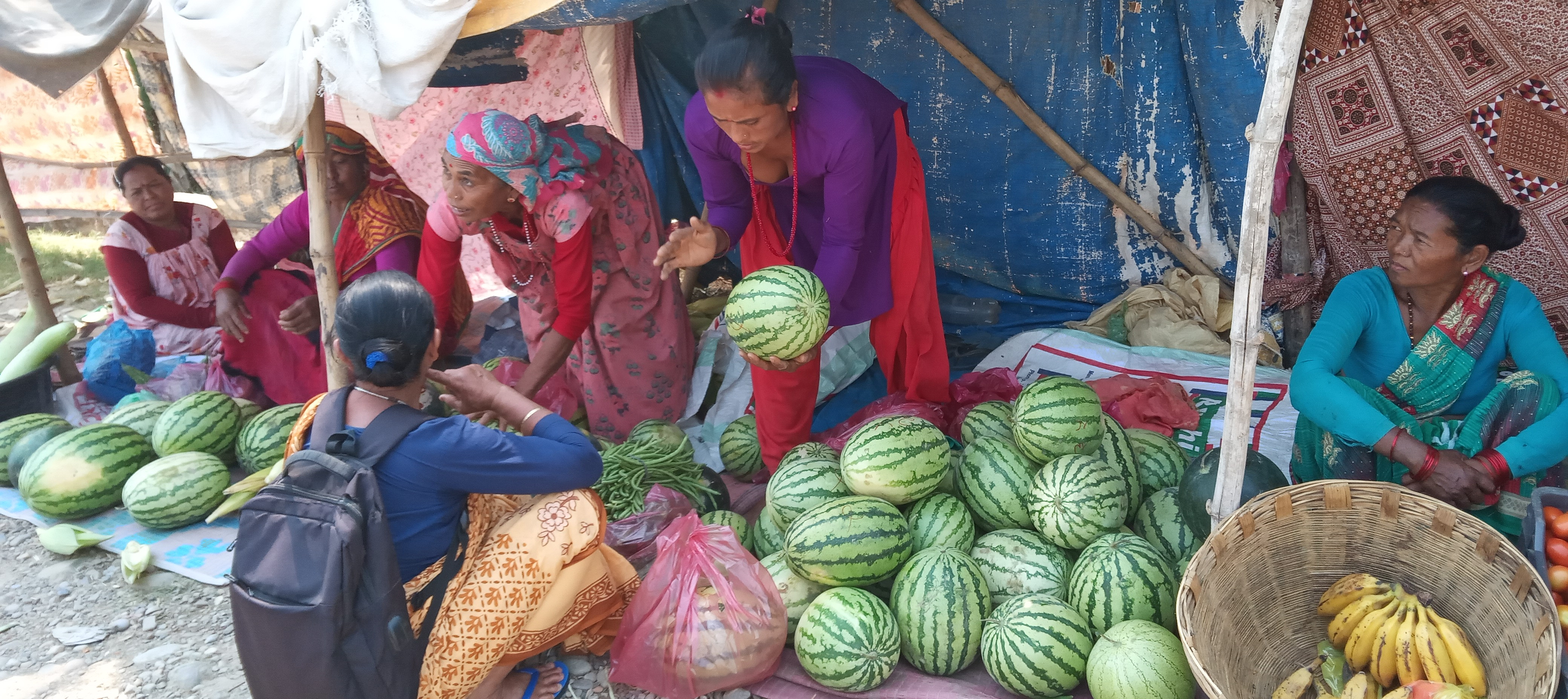 ‘हिनौना’ को व्यापारबाट दैनिक चार हजार आम्दानी