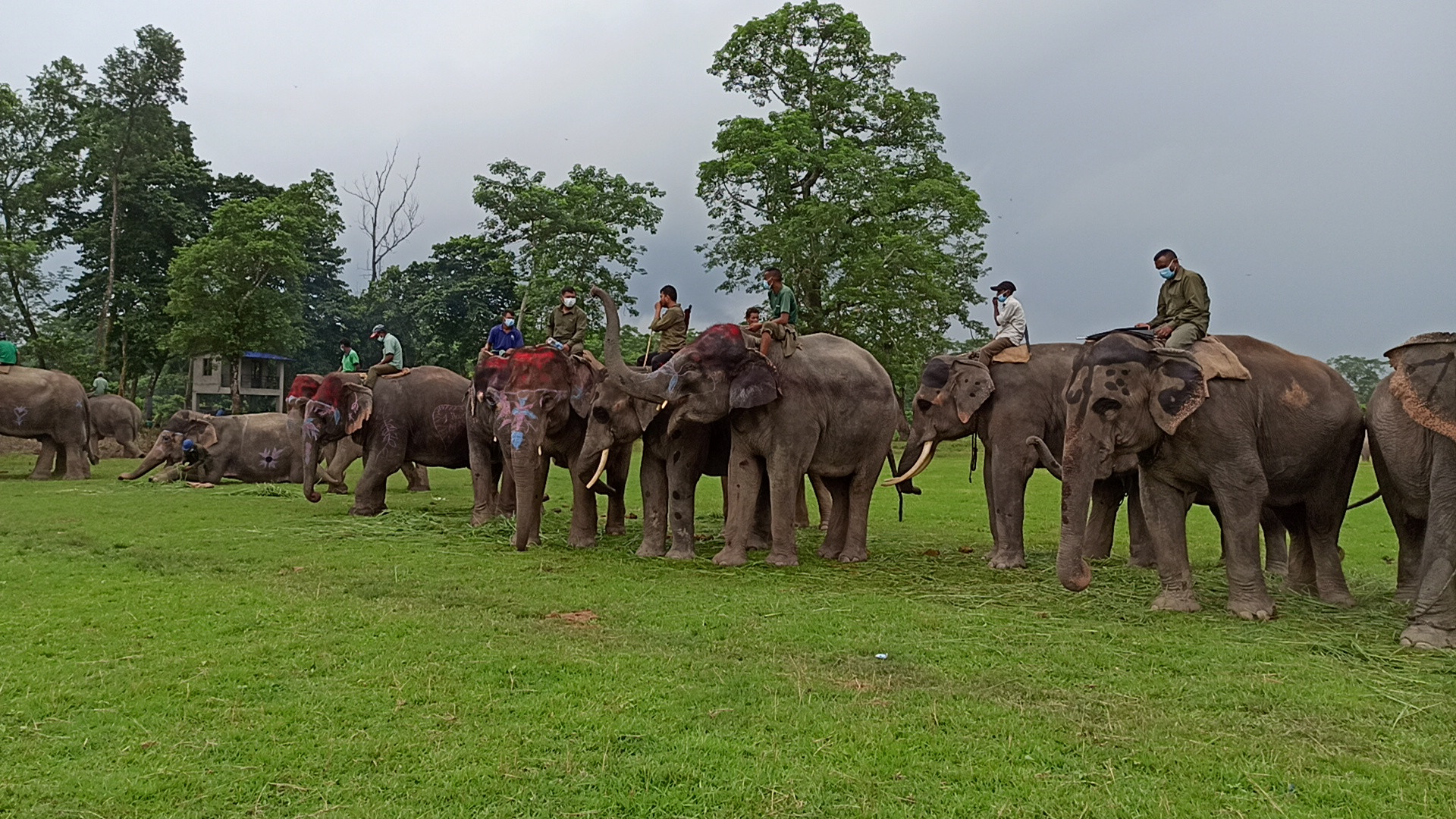 हात्तीमैत्री ‘सामूहिक खेती’