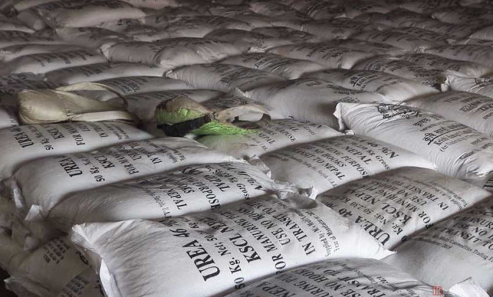 भन्सार छली ल्याइएको गहुँ र युरिया मल नियन्त्रणमा