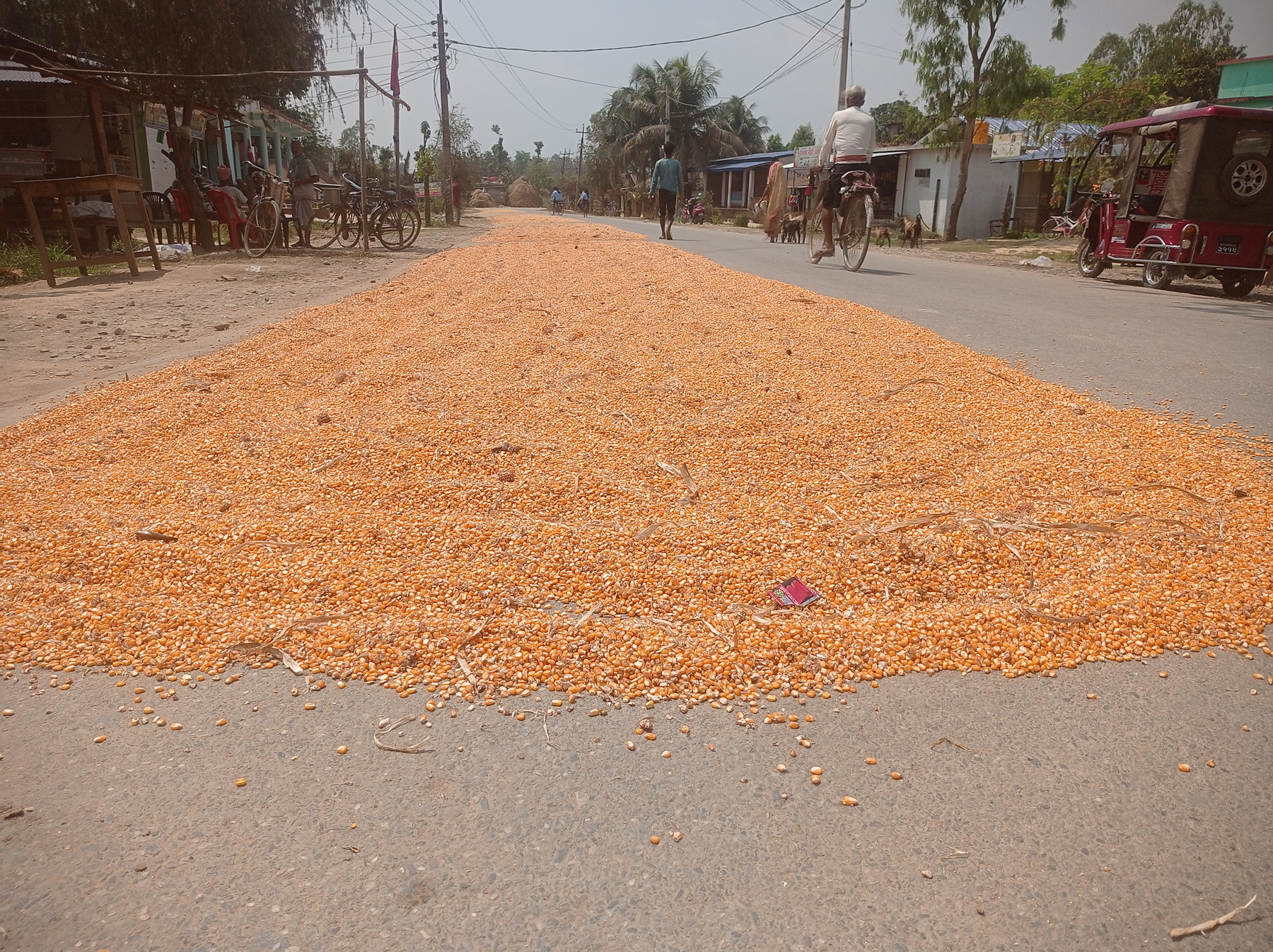 दुर्घटनाको कारक ...