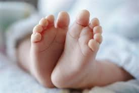 नवजात शिशुको शव फेला