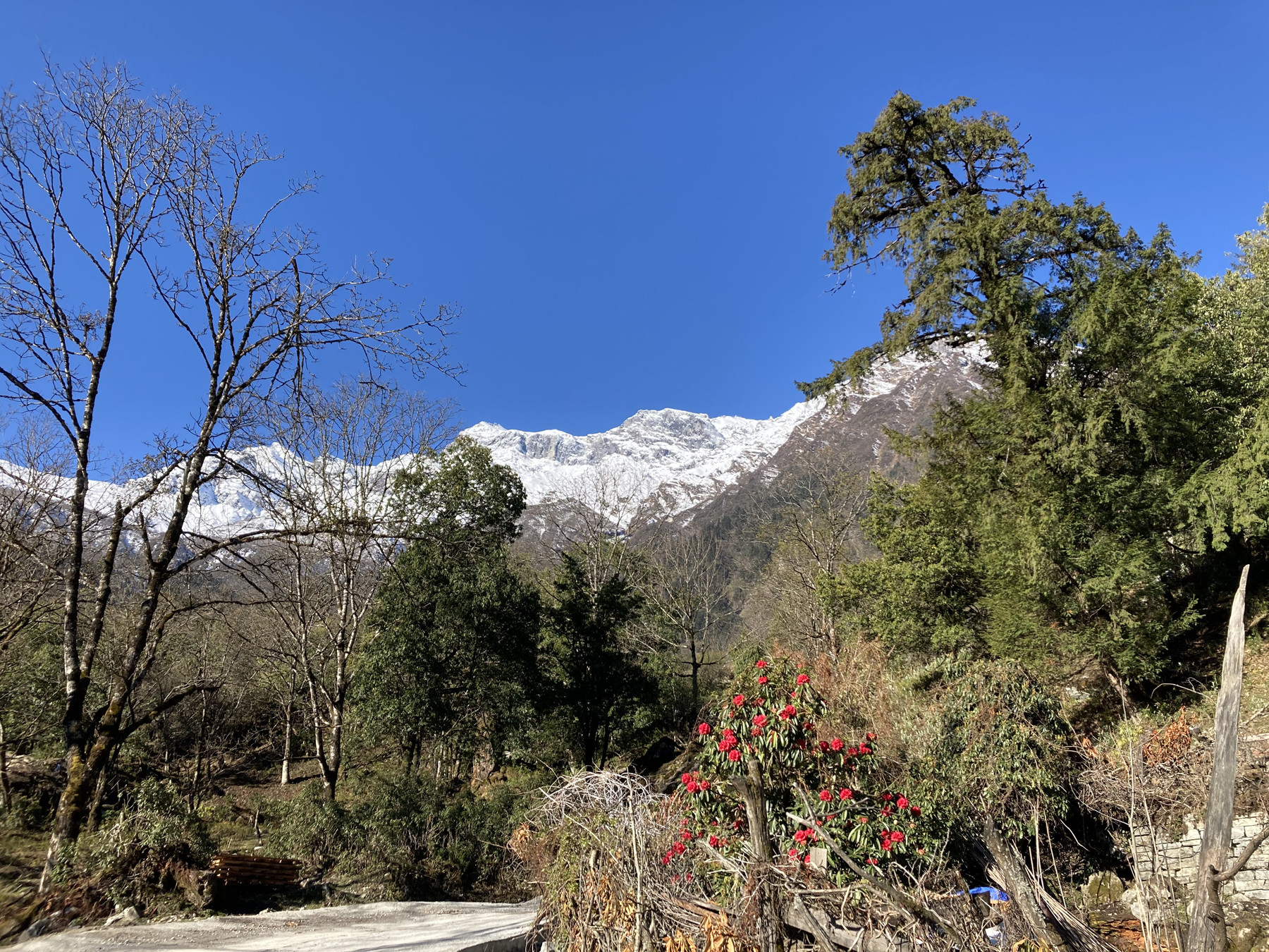 मनास्लु हिमाल