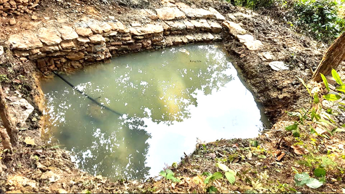 ताल सुकेपछि जेनेरेटरबाट वन्यजन्तुका लागि पानी