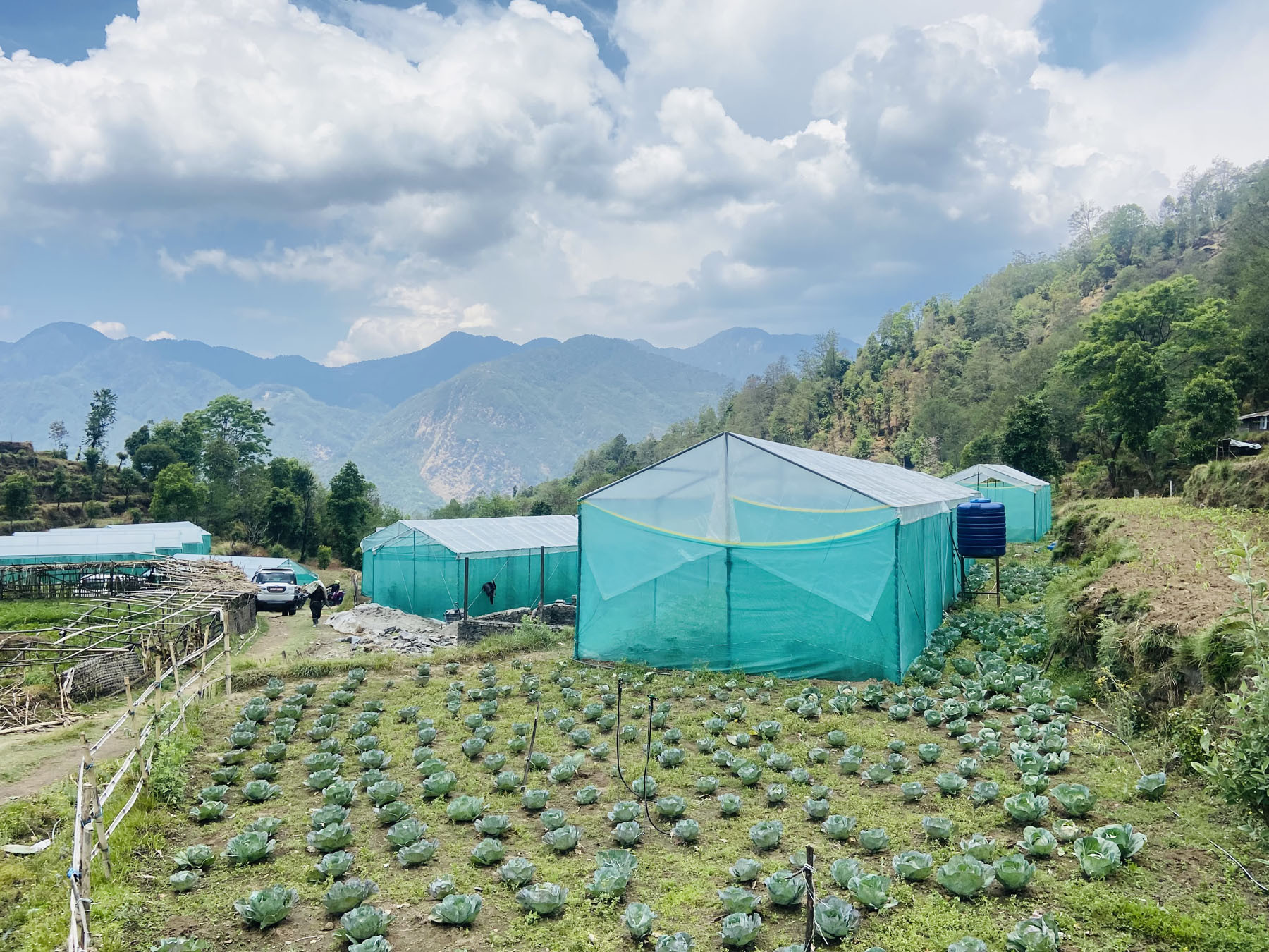 पाँचपोखरी नमुना अर्गानिक कृषि फार्म