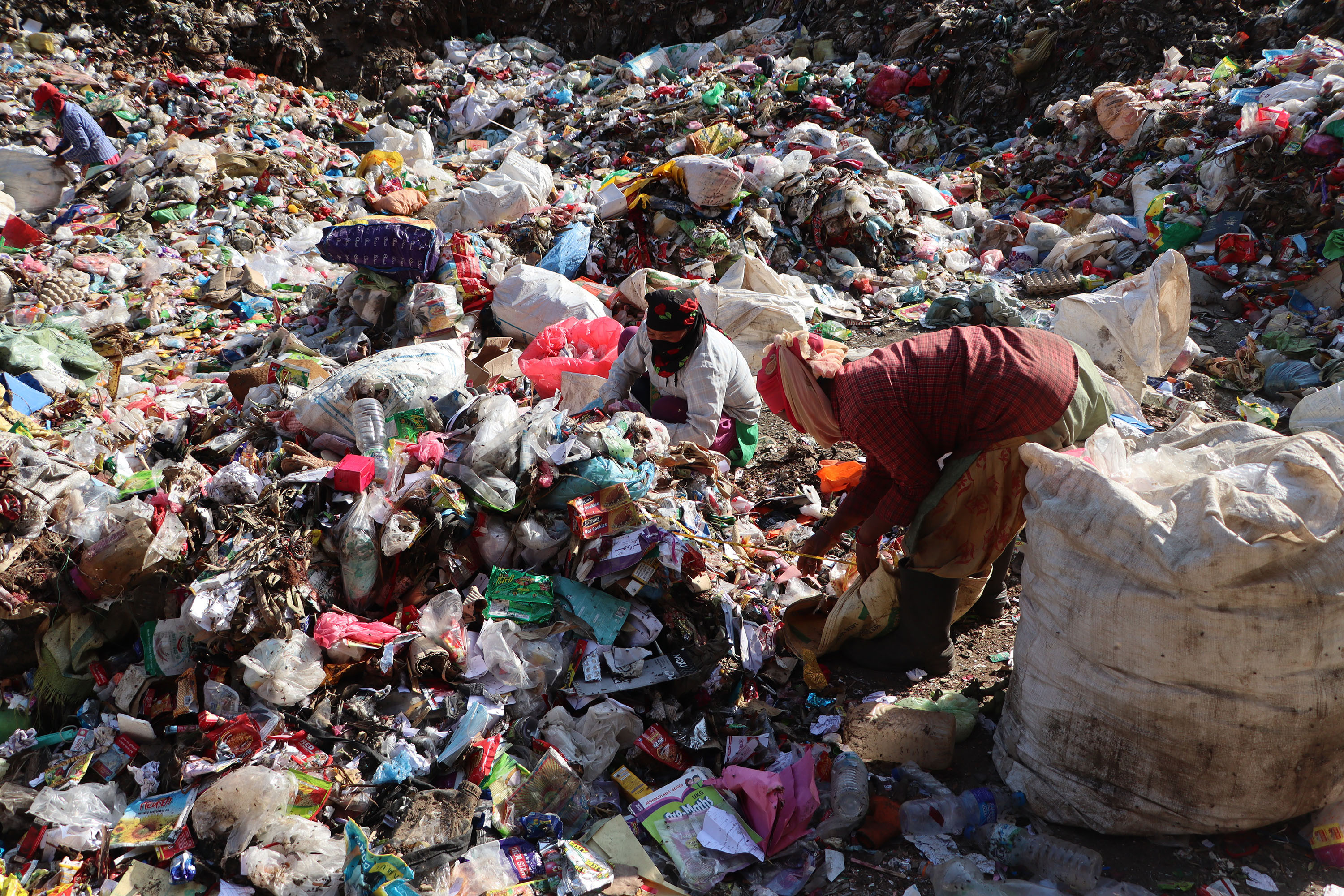 फोहोर छुट्याउँदै मजदुर