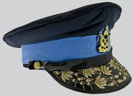 बढुवा भएका तेह्र डिआइजीलाई  दर्ज्यानी चिह्न प्रदान