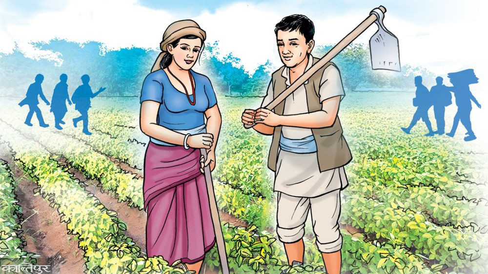 किसानलाई अनुदानमा कृषि उपकरण