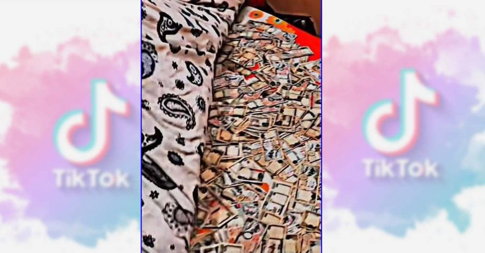 पैसा बिच्छ्याएर टिकटकमा भिडियो पोष्ट गर्ने व्यक्तिलाई सचेत गराइयो