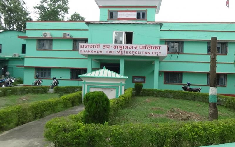 सडक हरियाली बनाउने अभियानमा धनगढी उपमहानगर