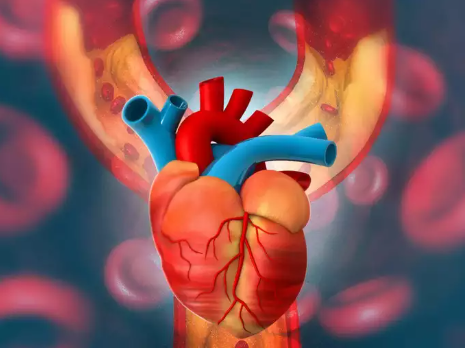 ‘हुक्का सेवन र वयस्कको मुटुसम्बन्धी रोगबीच बलियो सम्बन्ध’