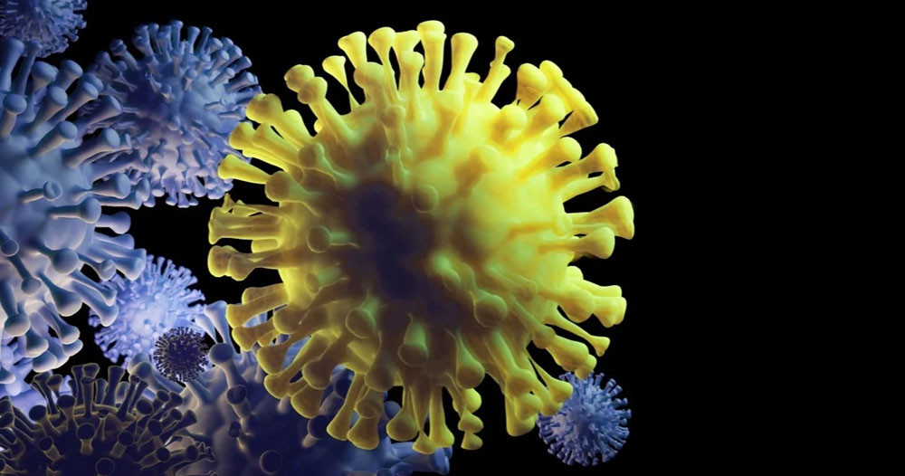 काभ्रेमा कोभिड नयाँ भेरियन्टका २५ सङ्क्रमित