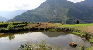 निस्कोट बराह तालको जैविक विविधता नासिँदै