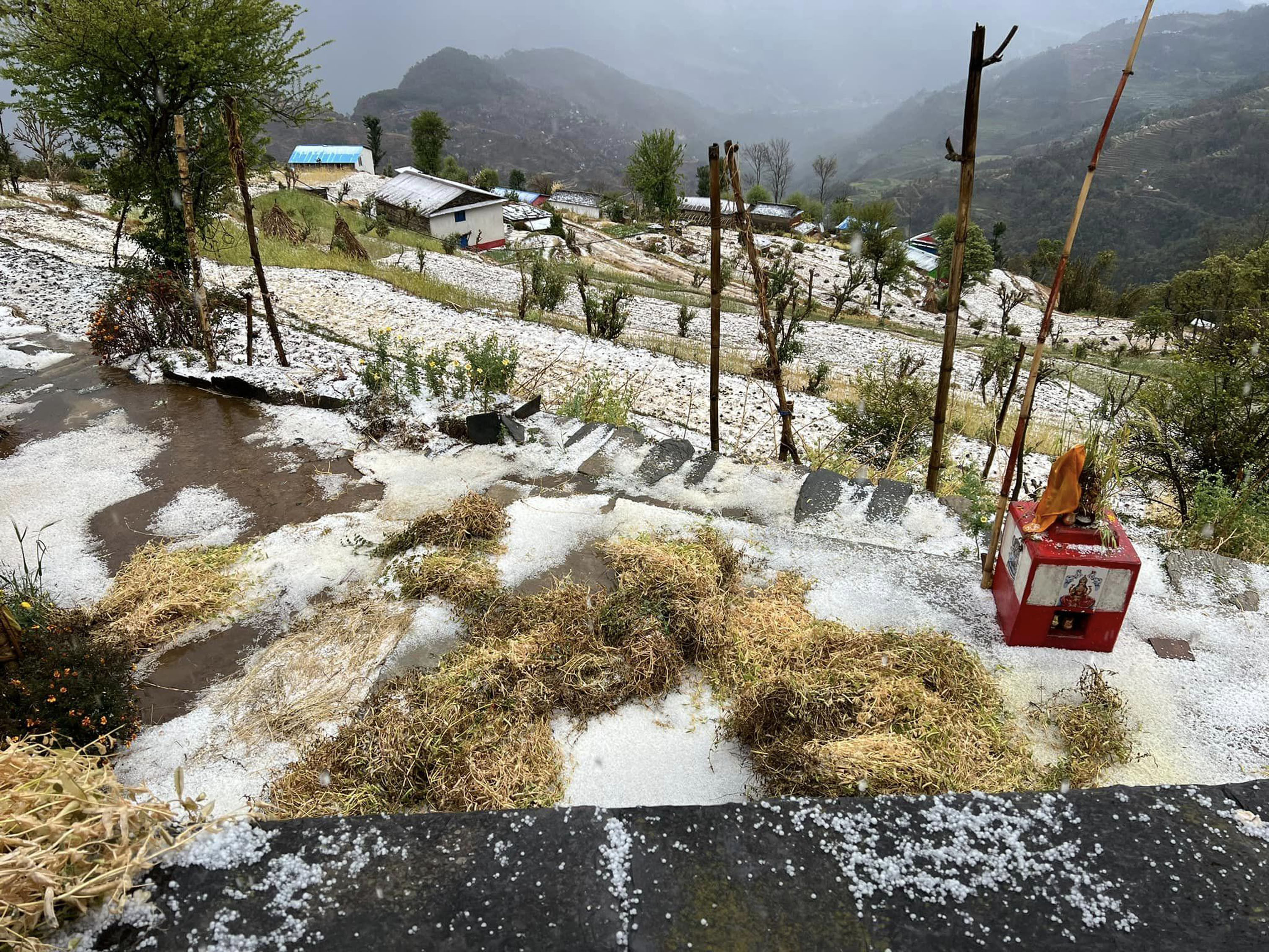 असिना पानी