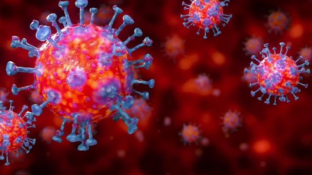 चौबीस घण्टामा सात जना कोरोना सङ्क्रमित