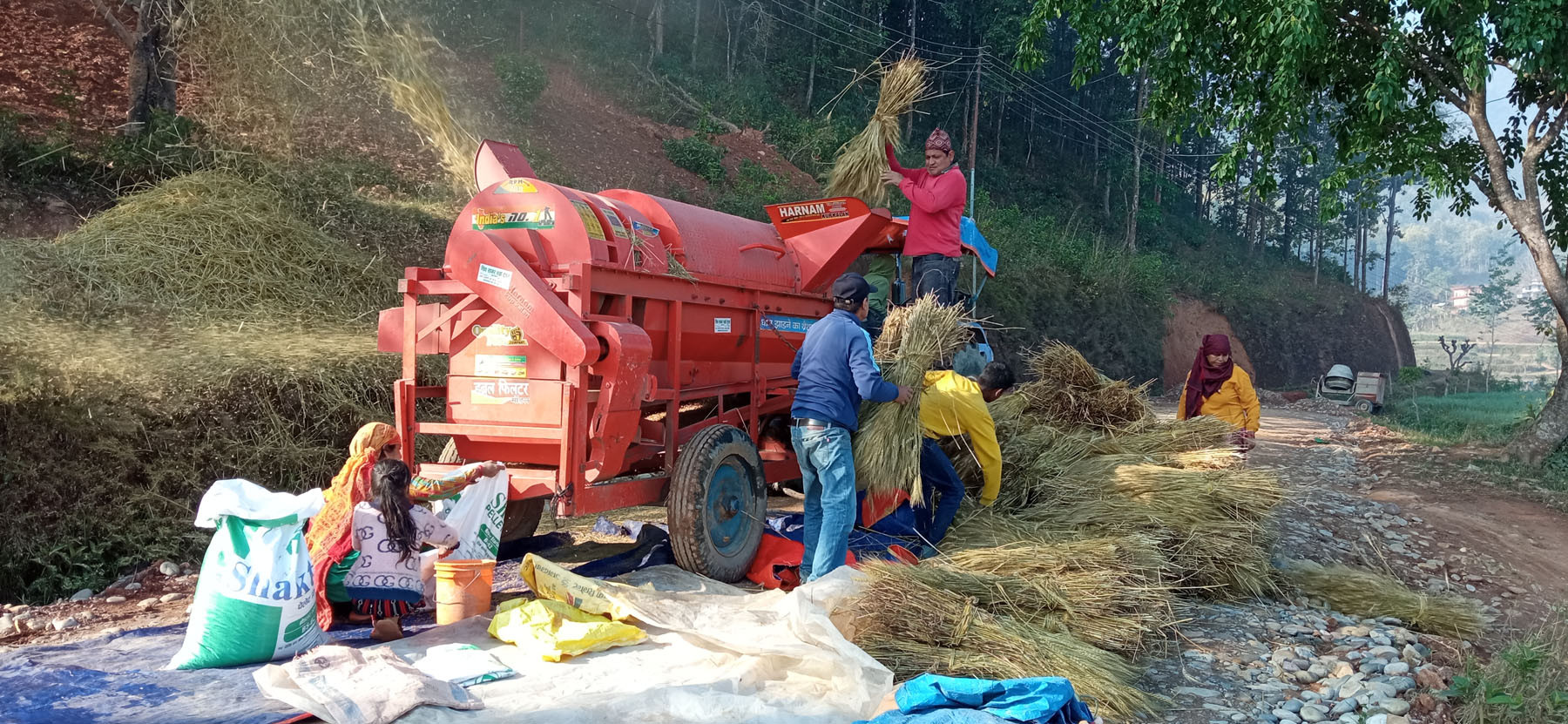 गहुँ स्याहार्दै किसान