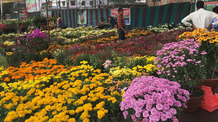 चैत १७ देखि २० गतेसम्म पुष्प मेला हुने