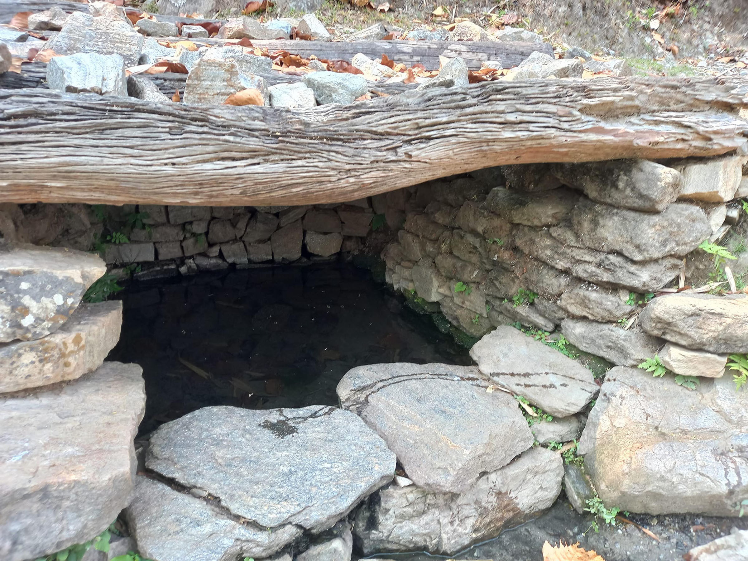 ऐतिहासिक कुवा